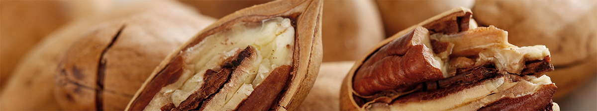 碧根果种植午夜免费在线视频