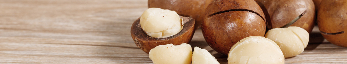 夏威夷果种植午夜免费在线视频