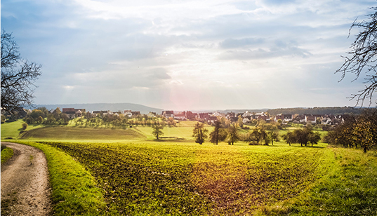 创收创富，产业扶贫