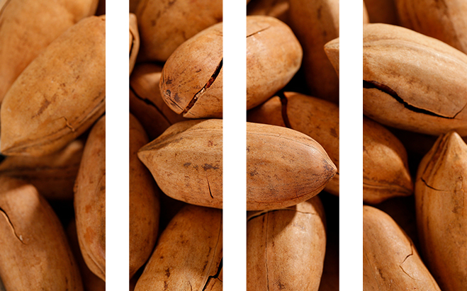 种植午夜免费在线视频